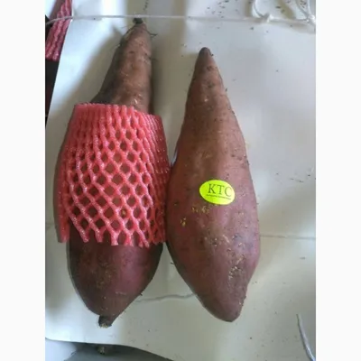 Картофель Батат сладкий купить с доставкой на дом по цене 495 рублей в  интернет-магазине