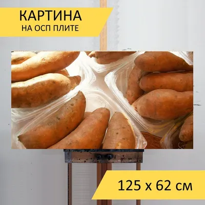 Сладкий картофель батат - купить у поставщика HARVEST GROUP Ltd