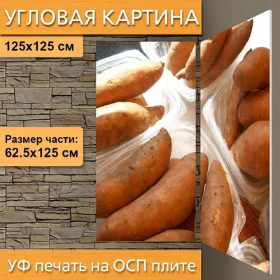 Купить картофель сладкий Батат 400 г, цены на Мегамаркет | Артикул:  100029280403