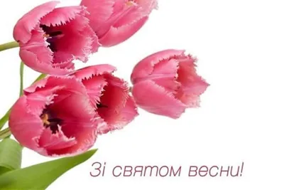 Картинки для празднования Женского дня 8 марта | Canva