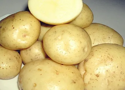 Картофель лимонка - 62 фото