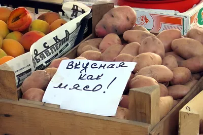 Семена овощей Аэлита томат Розовый лимон – купить в Алматы по цене 185  тенге – интернет-магазин Леруа Мерлен Казахстан