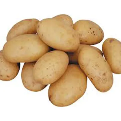 Берут за 15 рублей, а продают по 60: фермер сообщил о высокой наценке на  картофель на рынке - KP.RU