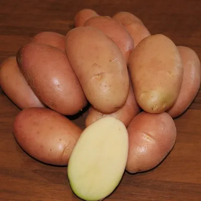 Клубни картофеля «Рикардо», ТМ «ЧерниговЭлитКартофель» - 17 кг  (мешок/сетка) купить недорого в интернет-магазине семян OGOROD.ua