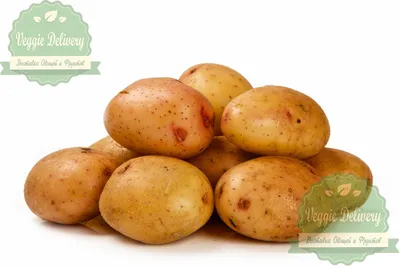 Колорадо - Столь распространённый в России сорт картофеля... | Facebook