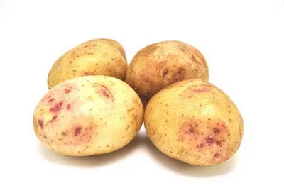 Купить Картофель семенной Синеглазка 10 клубней в Онсад.ру с доставкой  Почтой