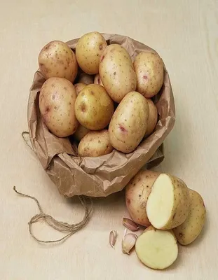 Сажайте в мае этот сорт картофеля: самая высокая урожайность — вскопали,  под ботвой по 8-10 картошин