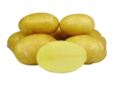 И чем же так хорош сорт картофеля Тулеевский? | Сад — Огород | Дзен
