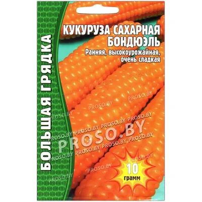 Купить семена Кукуруза сахарная Бондюэль в Минске и почтой по Беларуси