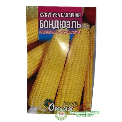 Семена кукурузы Бондюэль 20 г: купить в Украине. зерновые культуры от  [магазина AgroSeeds]