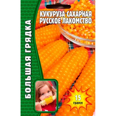 Кукуруза сахарная высший сорт ГОСТ \"Кубань Матушка\" ж/б 400гр (12шт) купить  оптом от производителя