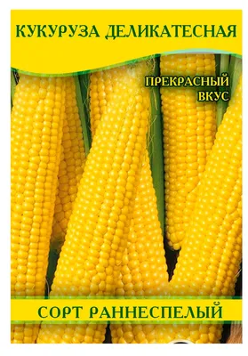 Семена Кукуруза Бондюэль сахарная 15г/1шт, цена 139 руб. купить в Комаричах