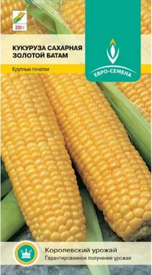 Кукуруза Heinz Сладкая купить по цене 23100 сум с доставкой по Узбекистану  на сайте TINFIS.