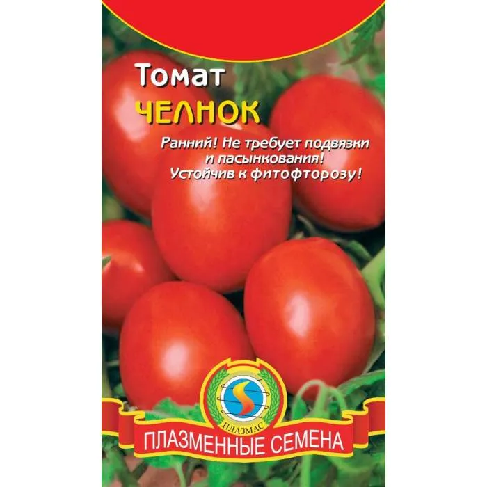 Семена томат челнок. Сорт помидор челнок. Томаты челнок описание сорта. Челнок томат описание.