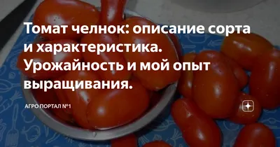 Томат Челнок 25 шт (Плазменные семена): продажа, цена в Харькове. Семена и  рассада овощных культур от \"\"Усадьба\", интернет-магазин\" - 737319173