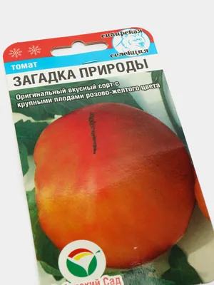 Семена помидор Микадо черный,Загадка природы,Киви.Пузата хата.: 2 грн. -  Сад / огород Белая Церковь на Olx