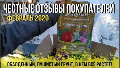 Томат Загадка природы: описание, ОТЗЫВЫ (65), фото, урожайность