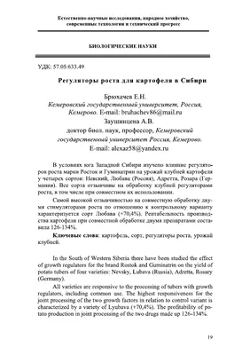 Картофель Сорт Розара. Купить Клубни на Посадку с Доставкой в СПБ. Отправка  по РФ почтой и