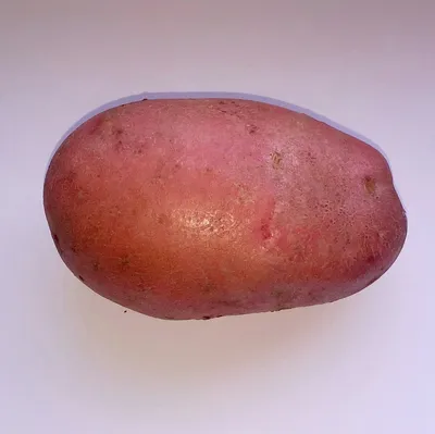Сорта картофеля с желтой мякотью фото и описание