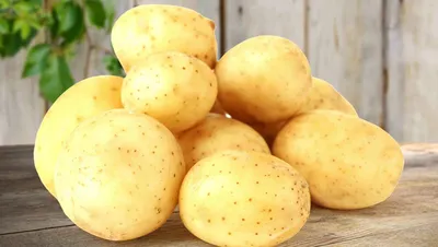 Картофель с белой и желтой мякотью