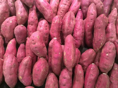 Картофель Седек семена картофеля, картофель семена Седек. - купить по  выгодным ценам в интернет-магазине OZON (841257648)