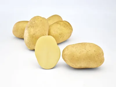 Картофель с жёлтой и белой мякотью - Сорт картофеля Наяда