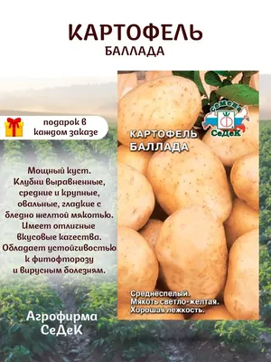 Картофель Семена СеДек Картофель - купить по выгодным ценам в  интернет-магазине OZON (830711740)