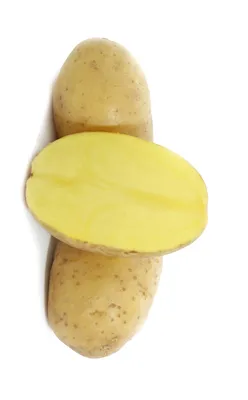 10 самых лежких сортов картофеля | На грядке (Огород.ru)