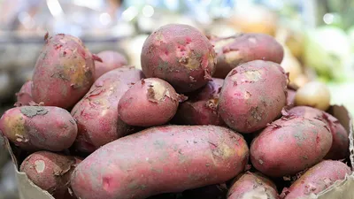 СеДек Семена картофель Баллада среднеспелый сорт + подарок