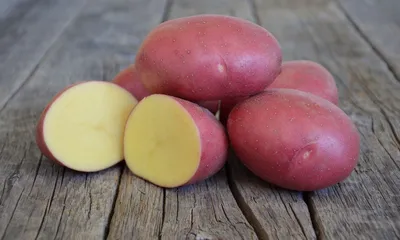 Сорта желтого картофеля: отзывы, фото, описание и характеристика