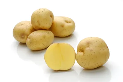 Картофель Аксения (Axenia) | Сорта картофеля