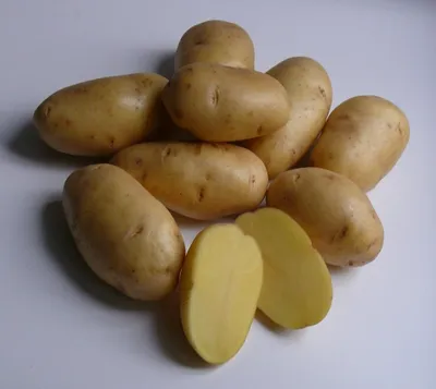 Картофель с жёлтой и белой мякотью - Сорт картофеля Тулеевский