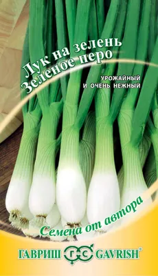 Купить лук на зелень зеленое перо - Доставка по Красноярску и всей России |  Интернет-магазин семян «Усадьба»