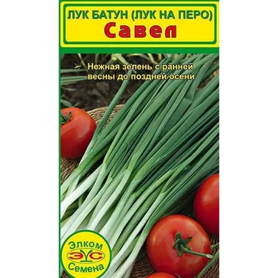 Лук на перо Савел (1 гр.) (Элком Семена) — купить по цене 37руб. 👉 артикул  — 1,0894 Интернет магазин DachaRU 🏡 Москва 📞8 (800) 500-83-66