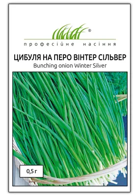 Лук лука на перо, сорт ЧЕРНУШКА, 0,5 гр, 5 шт. - купить по выгодным ценам в  интернет-магазине OZON (915625870)