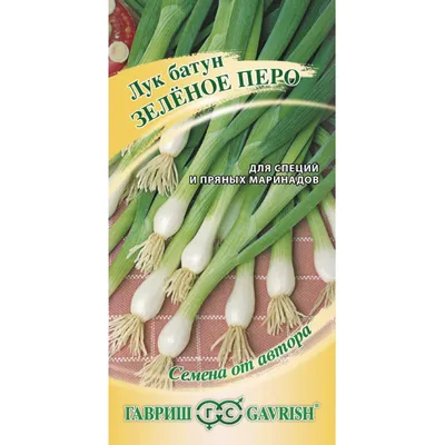 Семена лука на перо Легионер (Гавриш) купить в Украине. Цена, отзывы.  Интернет магазин Agross.biz