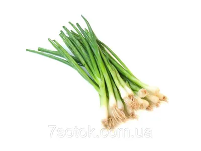 Лук Кими F1 (Cora Seeds) - купить семена в Украине: отзывы, цена, описание  ᐉ Agriks