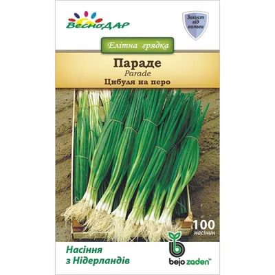 Семена лука на перо Легионер (Гавриш) купить в Украине. Цена, отзывы.  Интернет магазин Agross.biz