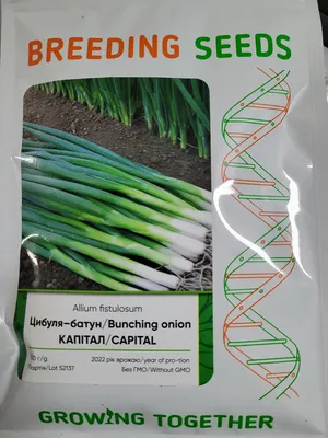 Проф Семена | Агрофирма | 8 (495) 363-53-56 | Москва , ул. Обручева д.55 А  - Грин Баннер, семена лука на зелень (Seminis / Семинис)