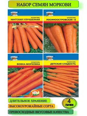 Семена моркови Купар F1, поздний гибрид, 100 000 шт, \"Bejo\" (Голландия),  100 000 шт (2,0-2,2) — Товары для выращивания овощей и фруктов —  Интернет-магазин Shoproslo