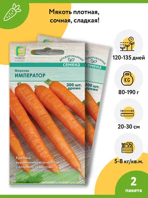 Лучшие сорта моркови: характеристика и районирование | Морковь,  Агротехника, Овощи
