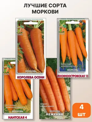 Морковь Урожай удачи Дивный сад - купить по выгодным ценам в  интернет-магазине OZON (863945405)