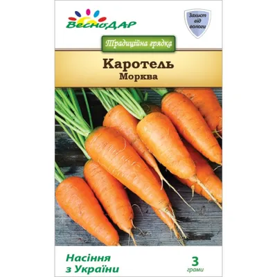 Самые сладкие сорта моркови - названия и правила посева | РБК Украина