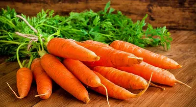 Семена \"Гавриш\" серия \"Удачные семена\" морковь \"Лосиноостровская 13\" -  «Проверенный годами сорт моркови. Вкусная, урожайная и отлично хранится. Но  и с ней возможны неудачи.» | отзывы