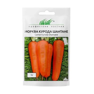 5 сортов урожайной моркови для средней полосы | Антонов сад - дача и огород  | Дзен