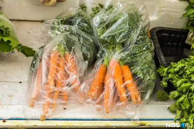 Тангерина F1 - семена моркови, 100 000 семян, (фр. от 1.4 до 2.8), Takii  Seed/Таки Сидс (Япония) - купить в интернет-магазине fremercentr.ru быстрая  доставка. Почтой или ТК.