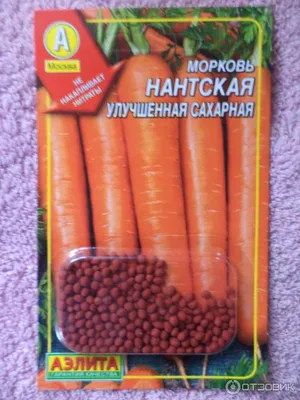 Лучшие сорта моркови: ранние, средние, среднепоздние и поздние | Морковь,  Овощи, Рецепты
