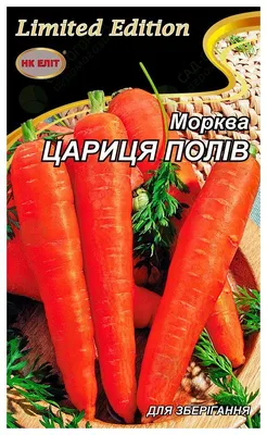 Морковь Кордоба F1 (Bejo) - купить семена из Голландии оптом - АГРООПТ