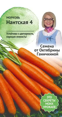 Отзыв о Семена моркови \"Аэлита\" | Проверенное качество, теперь в гранулах и  на ленте