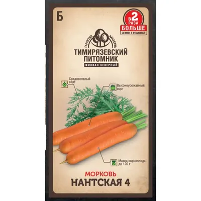 Как вырастить собрать семена моркови - YouTube